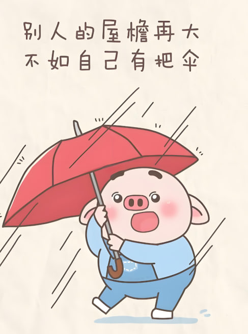 综艺节目3